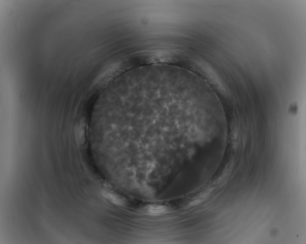 X0000101090169200807031734