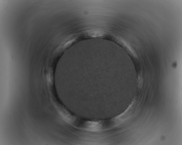 X0000101090170200807031734