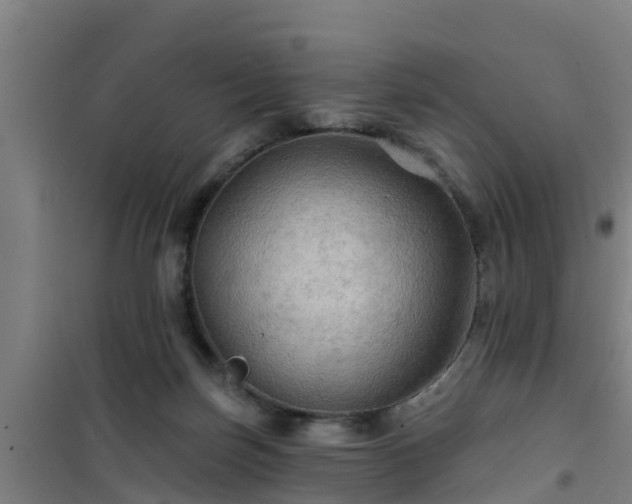 X0000101090171200807031734