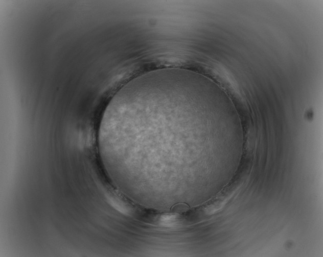 X0000101090173200807031735