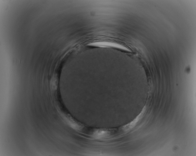 X0000101090174200807031735