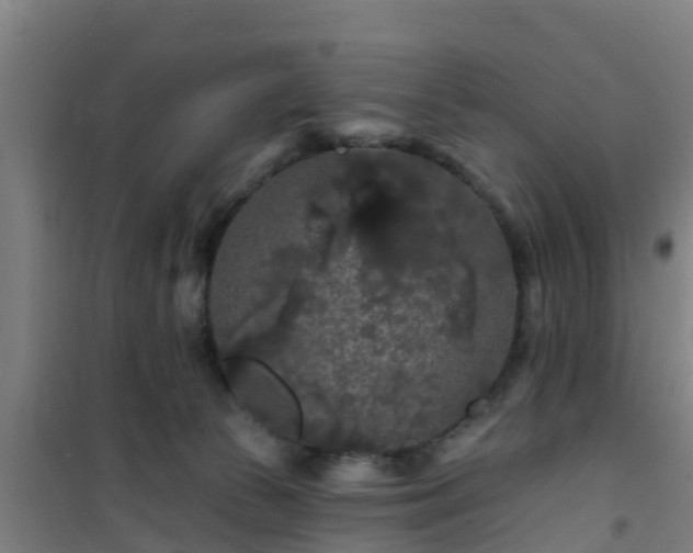 X0000101090177200807031735