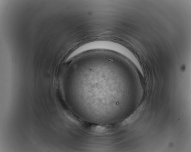 X0000101090180200807031735