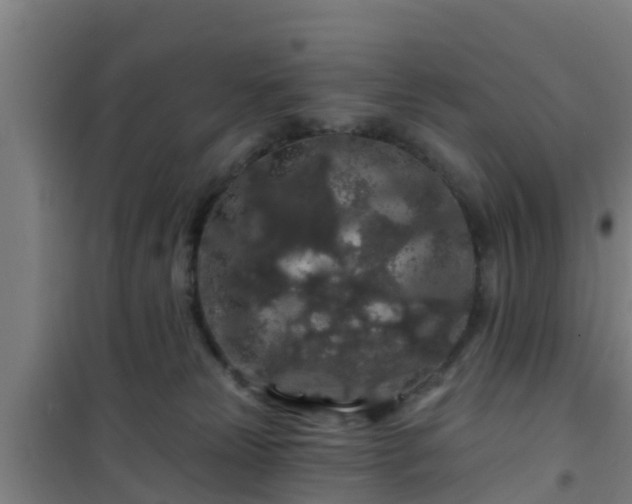 X0000101090181200807031735