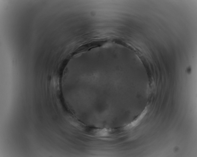 X0000101090182200807031735