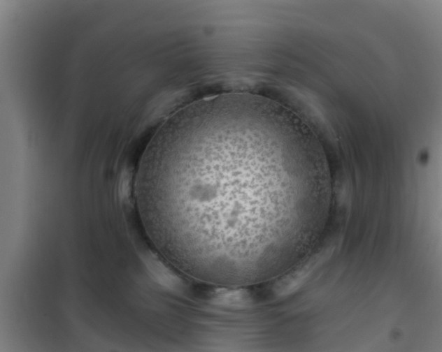 X0000101090185200807031735