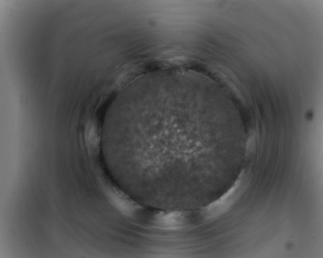 X0000101090186200807031735