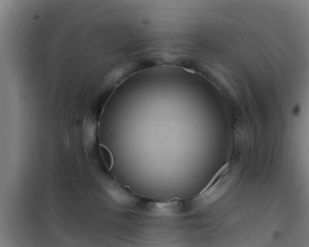 X0000101090188200807031735