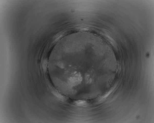 X0000101090189200807031735