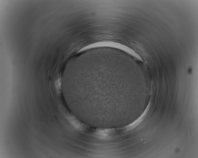 X0000101090190200807031735