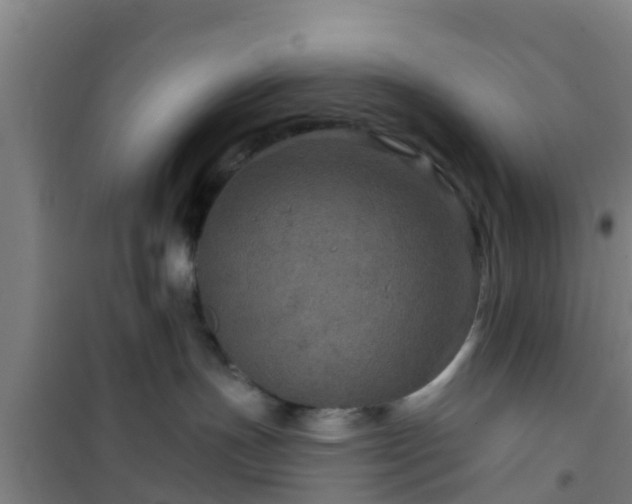 X0000101090191200807031735