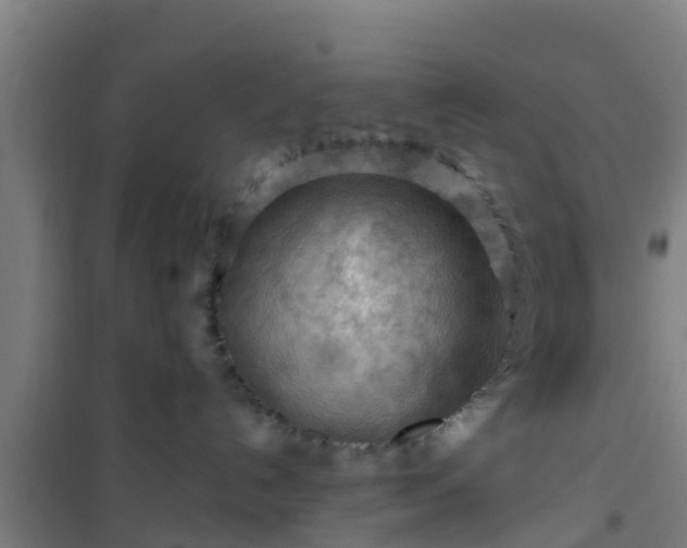 X0000101090192200807031735