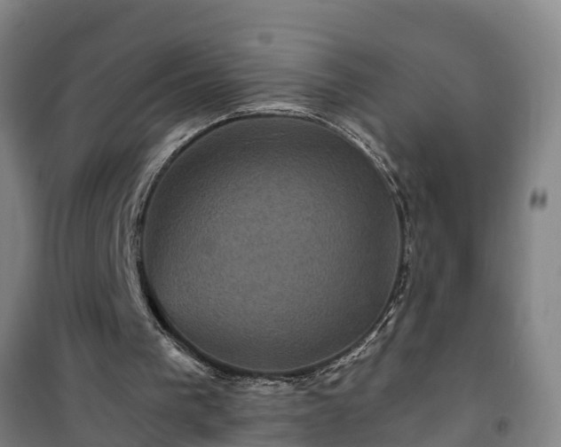 X0000101090193200807031734