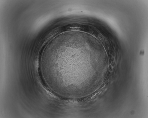 X0000101090194200807031734