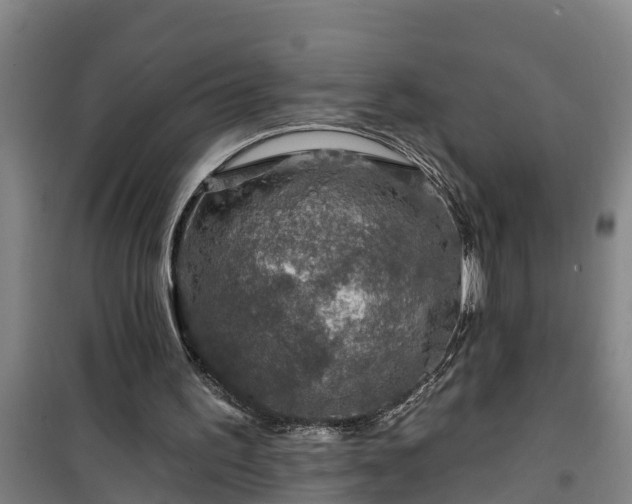 X0000101090195200807031734