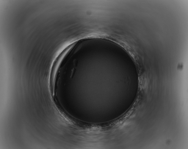 X0000101090196200807031734