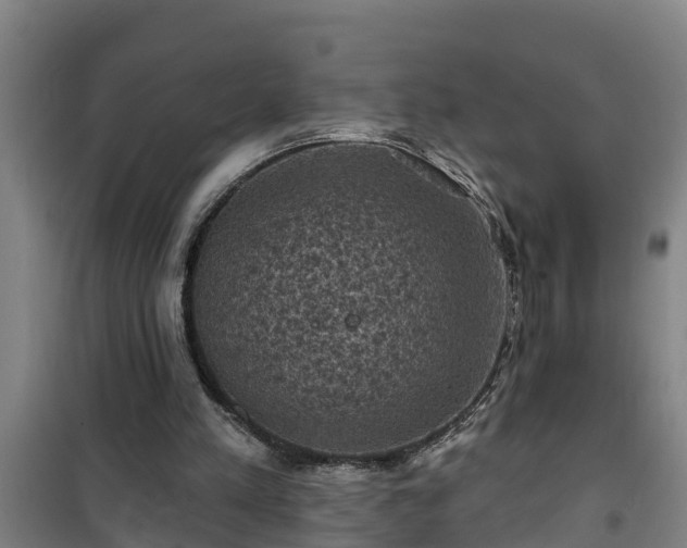 X0000101090197200807031734