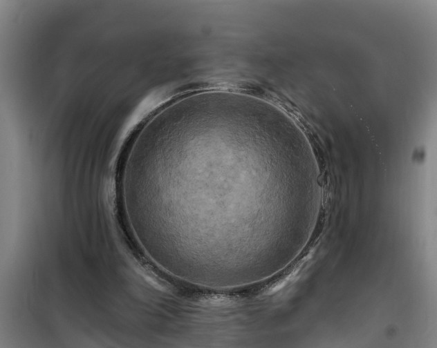 X0000101090198200807031734