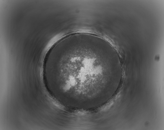 X0000101090199200807031734