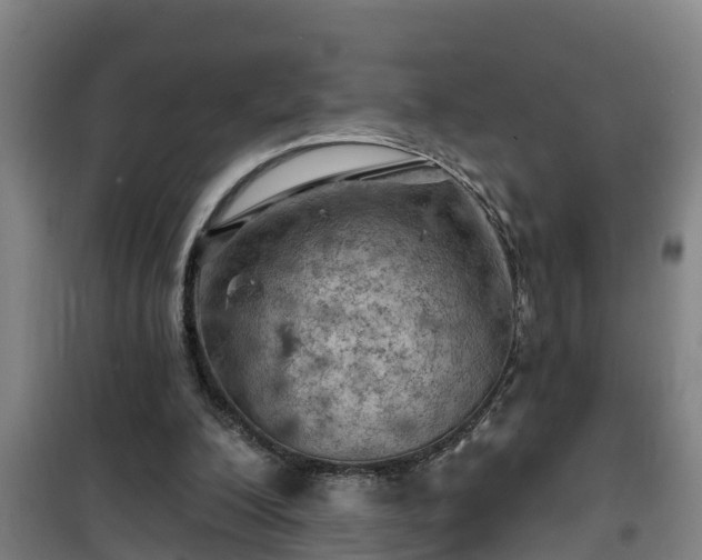 X0000101090200200807031734