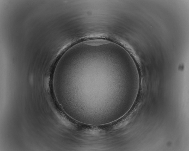 X0000101090201200807031734