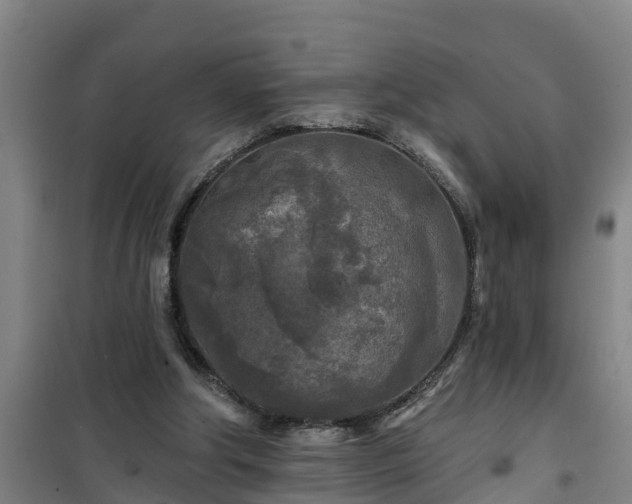 X0000101090202200807031734