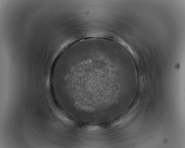 X0000101090203200807031734