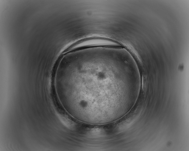 X0000101090204200807031734