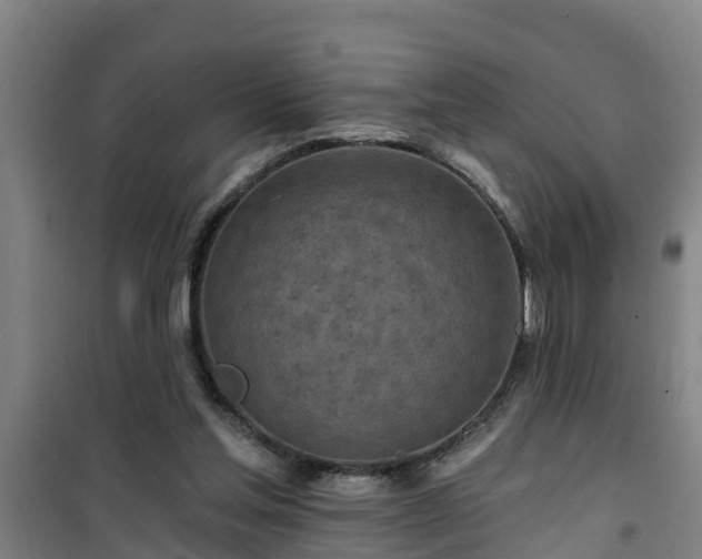 X0000101090205200807031734