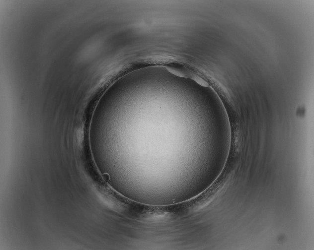 X0000101090206200807031734