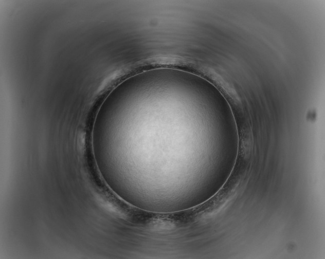 X0000101090207200807031734