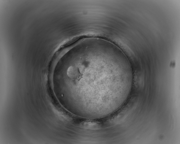 X0000101090208200807031734