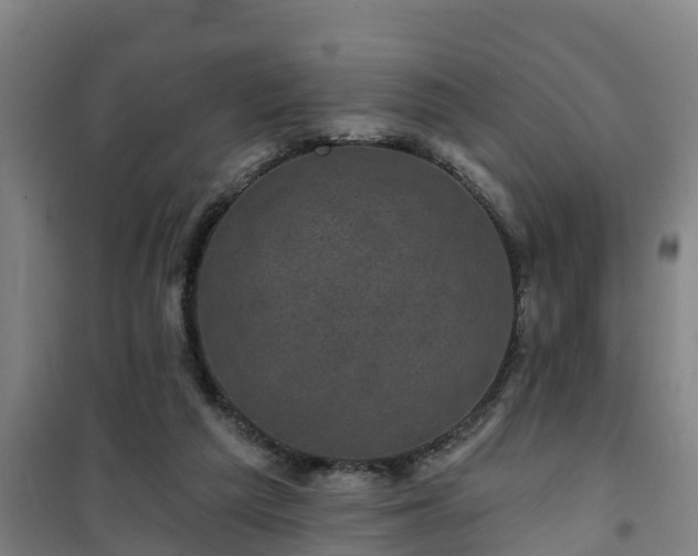 X0000101090209200807031734