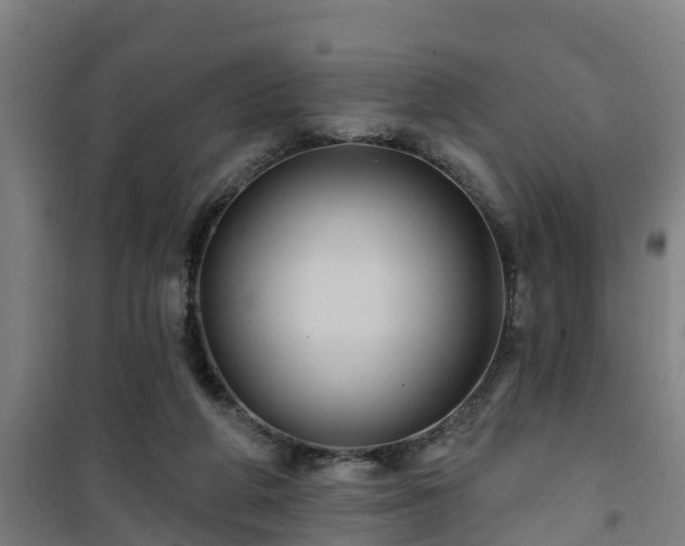 X0000101090210200807031734