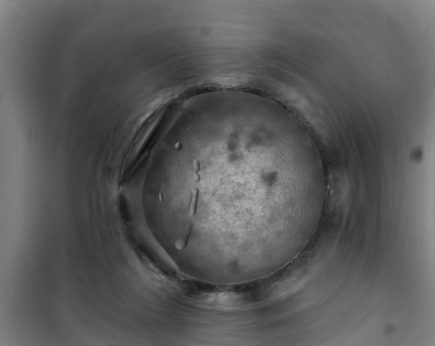 X0000101090212200807031734