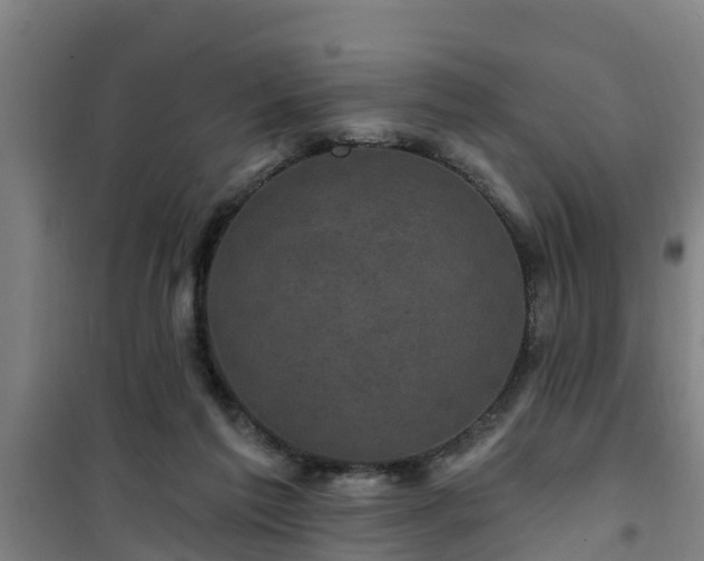 X0000101090213200807031734