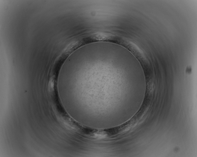 X0000101090214200807031734