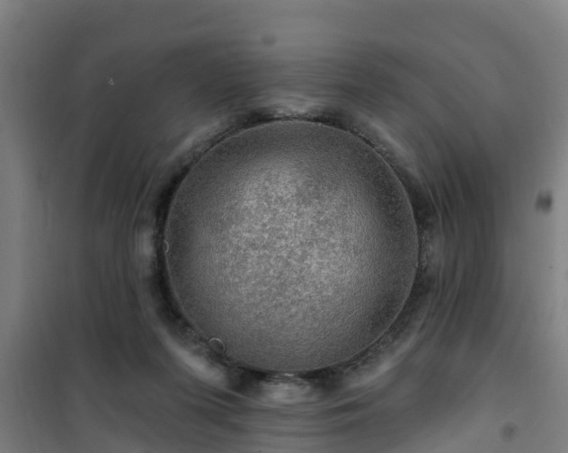 X0000101090215200807031734