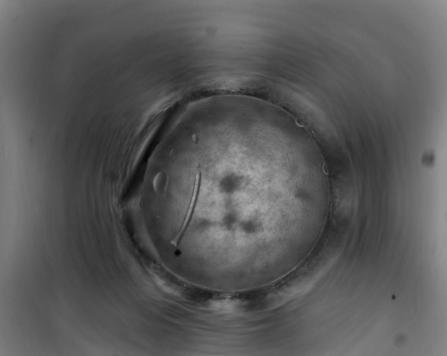 X0000101090216200807031734