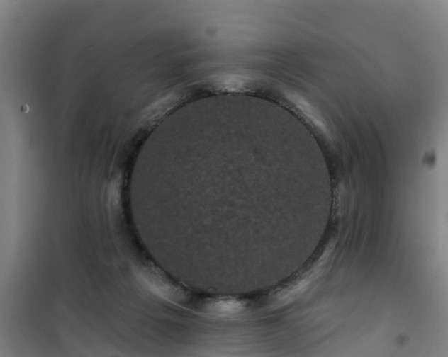 X0000101090217200807031734