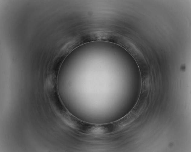 X0000101090218200807031734