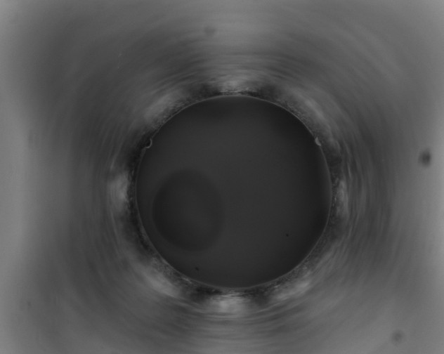 X0000101090219200807031734