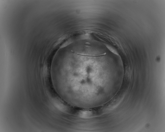 X0000101090220200807031734