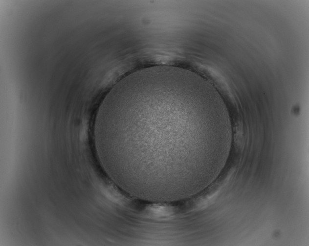 X0000101090221200807031734