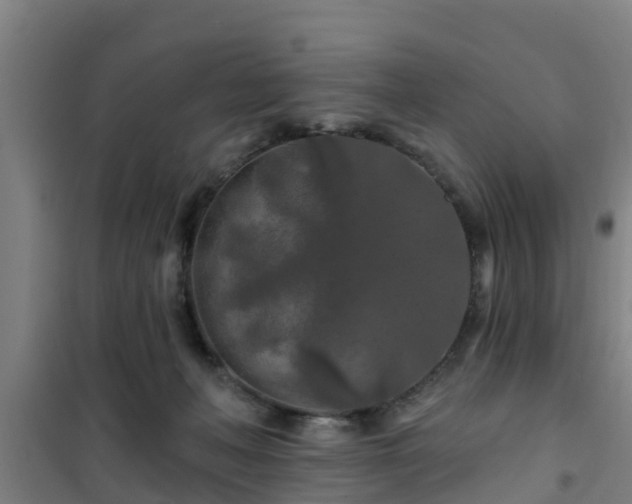 X0000101090222200807031734