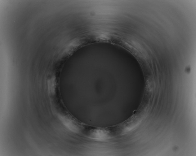 X0000101090223200807031734