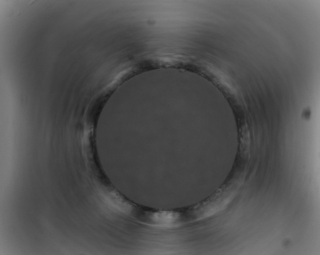 X0000101090225200807031734