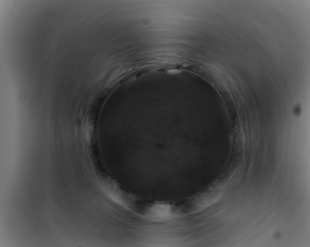 X0000101090227200807031734