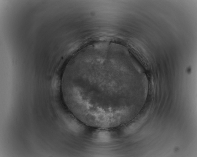 X0000101090228200807031734