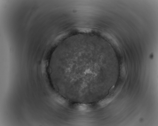 X0000101090229200807031734